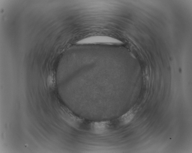 X0000070400134200606231812