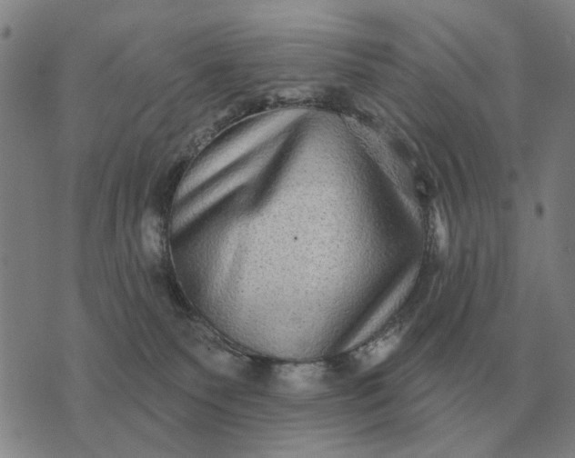 X0000070400135200606231812