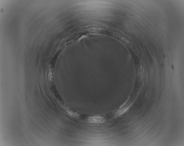 X0000070400137200606231812