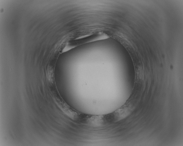 X0000070400138200606231812