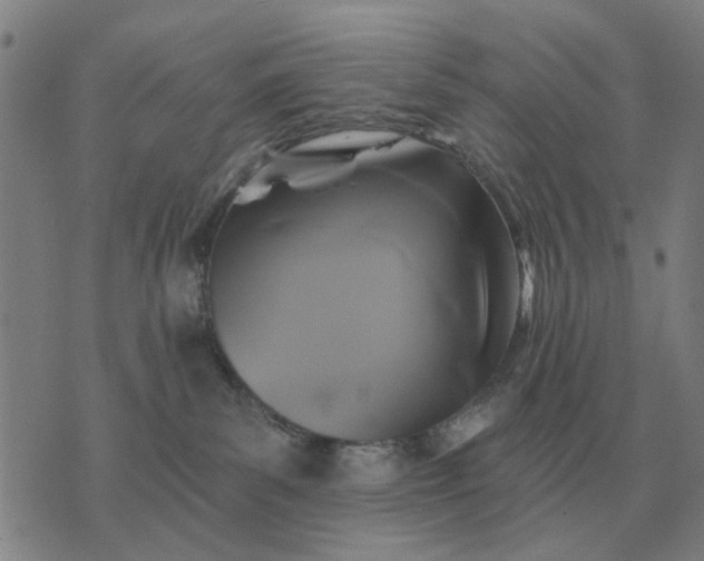 X0000070400139200606231812