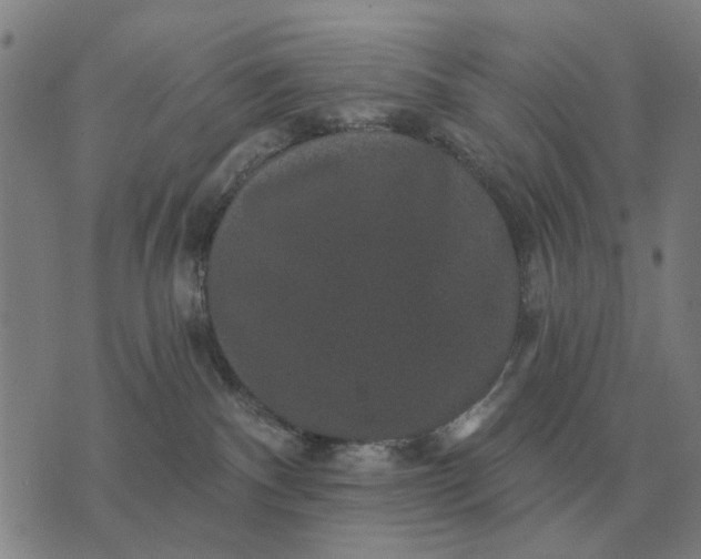 X0000070400140200606231812