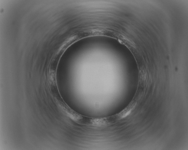 X0000070400141200606231812