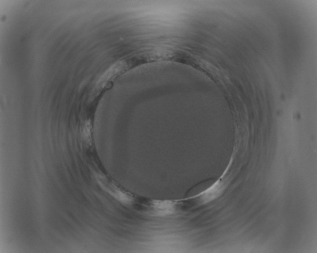 X0000070400144200606231812