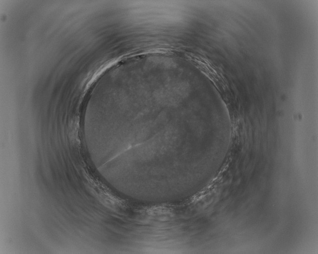 X0000070400146200606231811