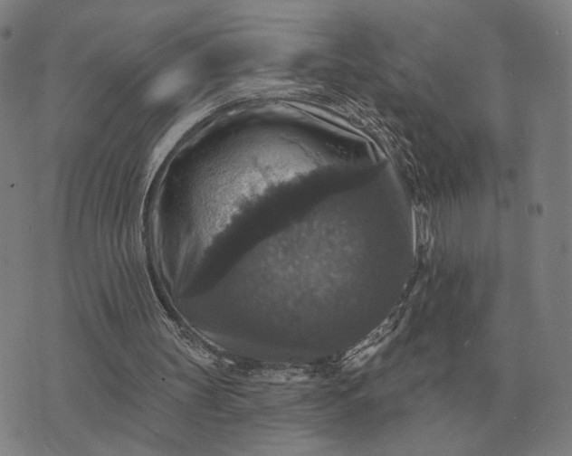 X0000070400147200606231811