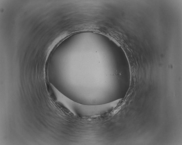 X0000070400148200606231811