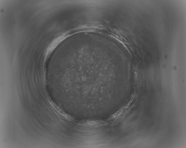 X0000070400149200606231811