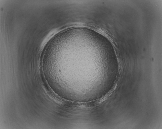 X0000070400151200606231811