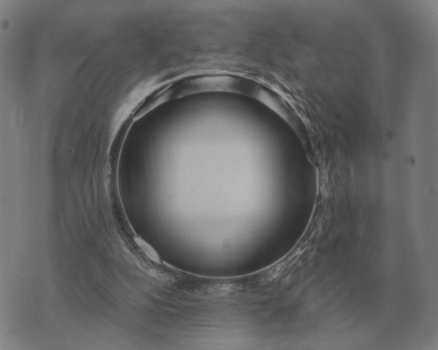 X0000070400152200606231811