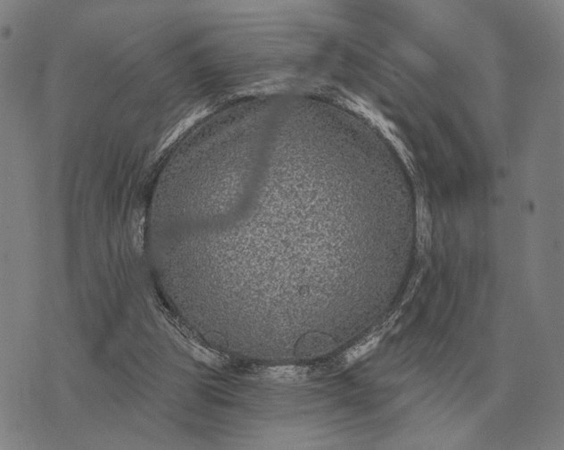 X0000070400153200606231811