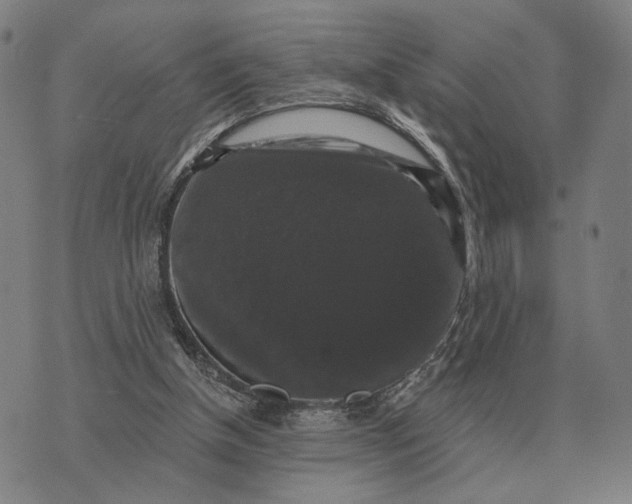 X0000070400154200606231811