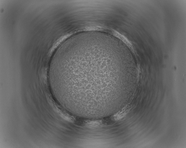 X0000070400155200606231811