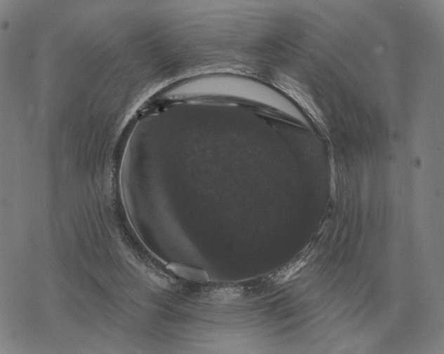 X0000070400156200606231811