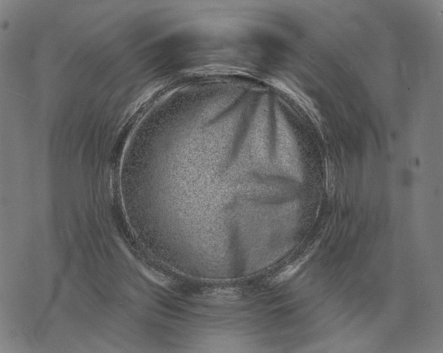 X0000070400157200606231811