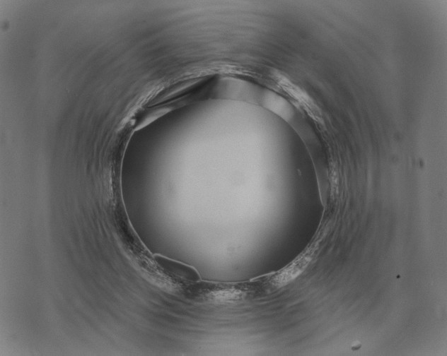 X0000070400158200606231811