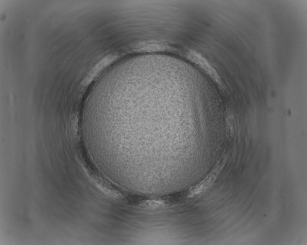 X0000070400159200606231811