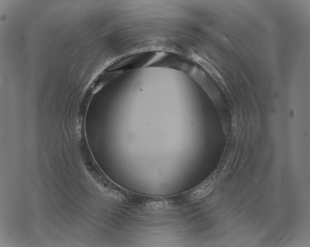 X0000070400160200606231811