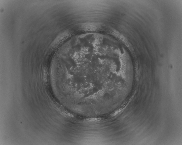 X0000070400161200606231811