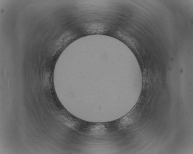 X0000070400162200606231811