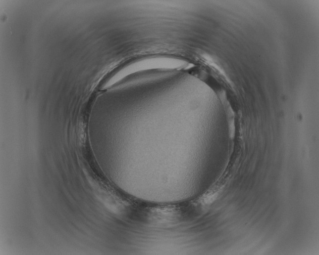 X0000070400164200606231811