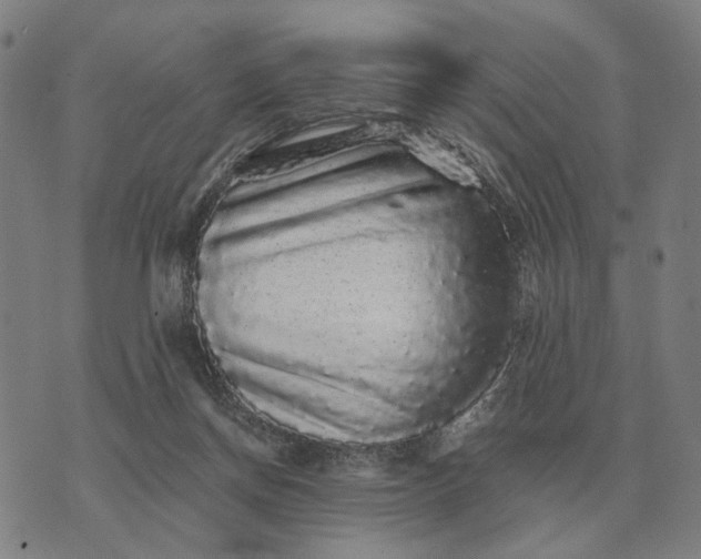 X0000070400166200606231811