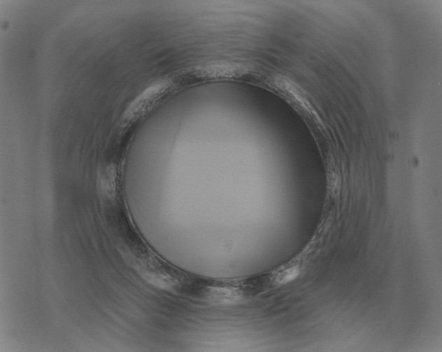 X0000070400167200606231811