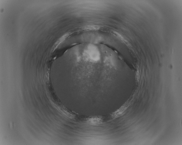 X0000070400168200606231811