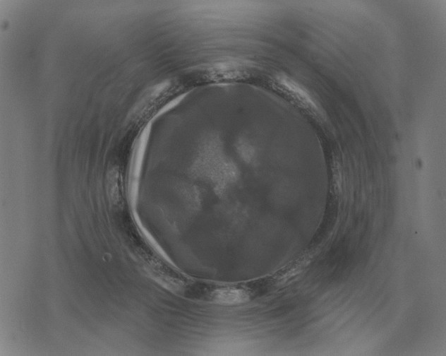 X0000070400169200606231811