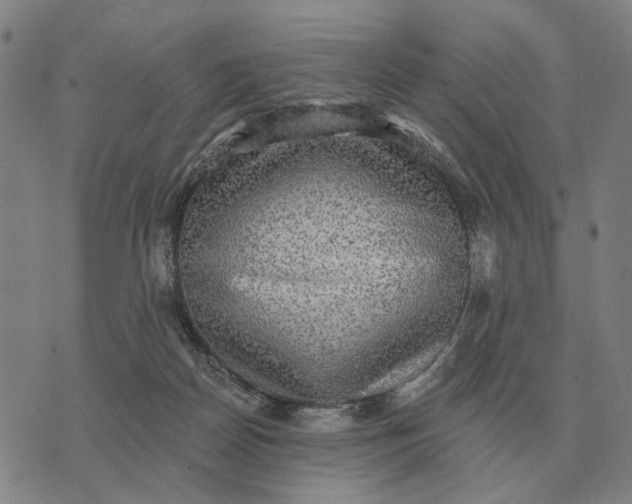 X0000070400170200606231811