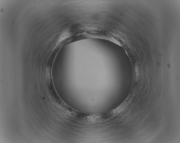 X0000070400172200606231811