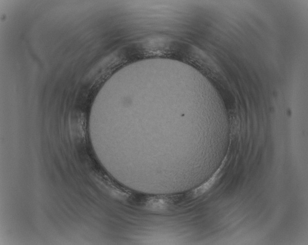 X0000070400174200606231811