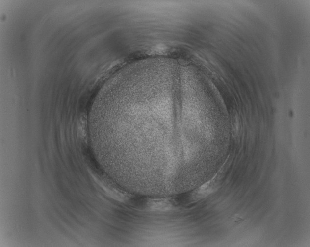 X0000070400175200606231811