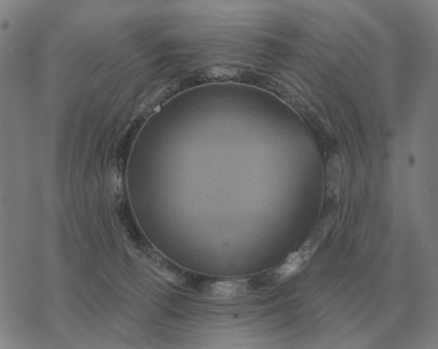 X0000070400176200606231811