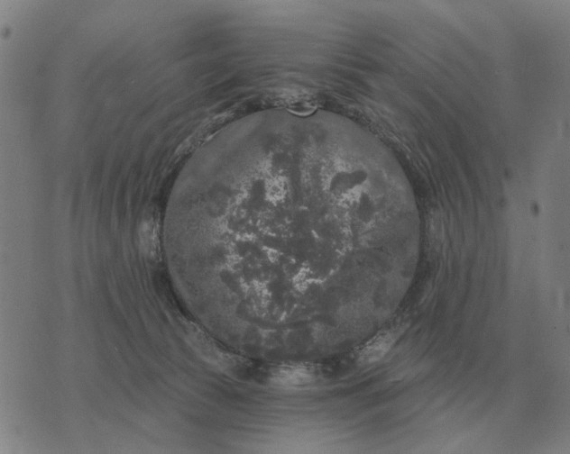 X0000070400177200606231811