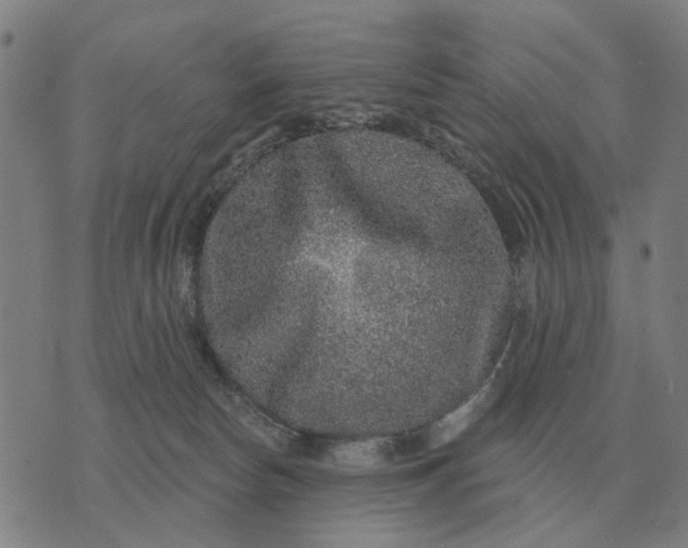 X0000070400178200606231811