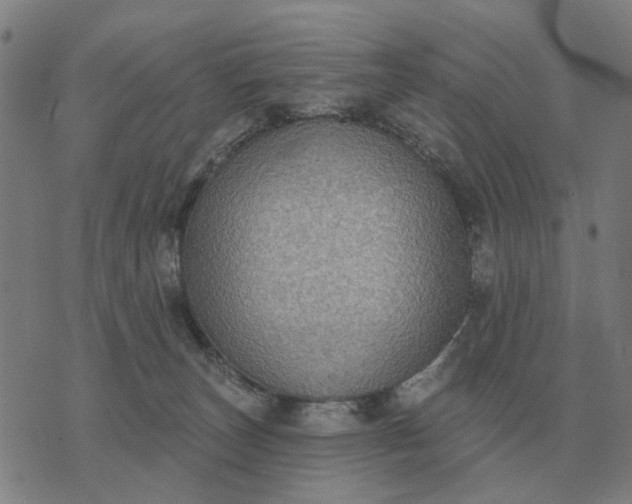 X0000070400179200606231811