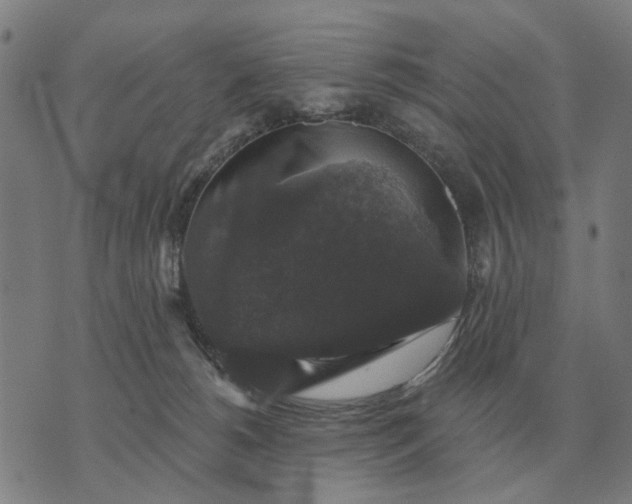 X0000070400180200606231811