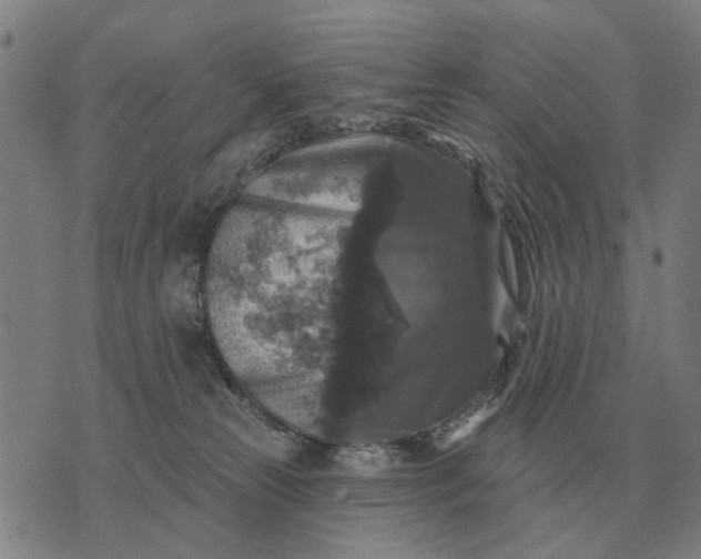 X0000070400181200606231812