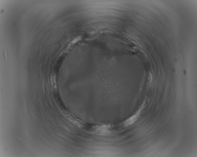 X0000070400182200606231812