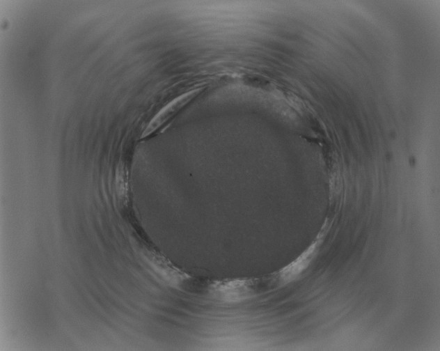 X0000070400186200606231812