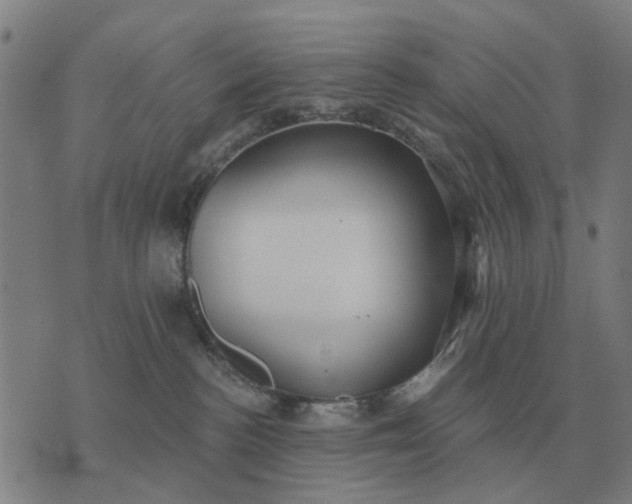 X0000070400188200606231812