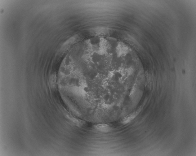 X0000070400189200606231812