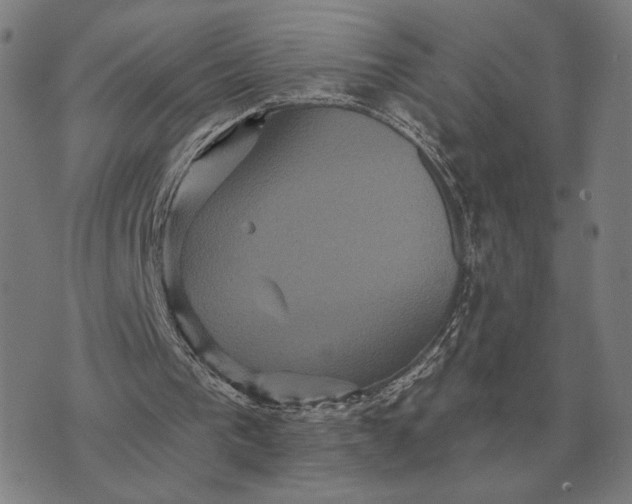 X0000070400193200606231811