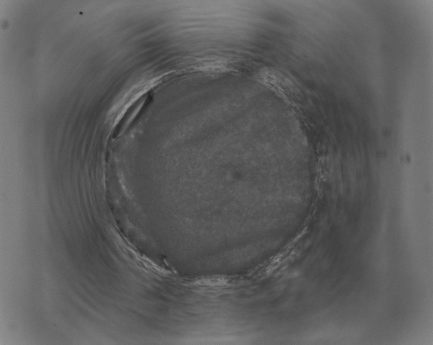 X0000070400194200606231811