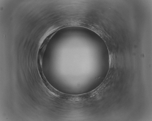 X0000070400195200606231811