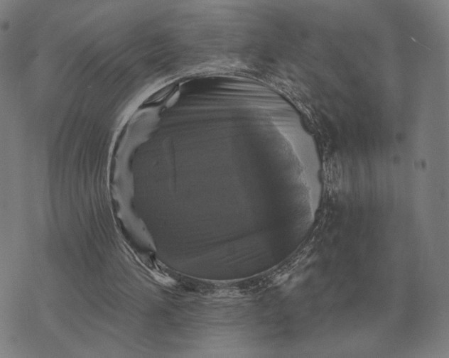 X0000070400196200606231811