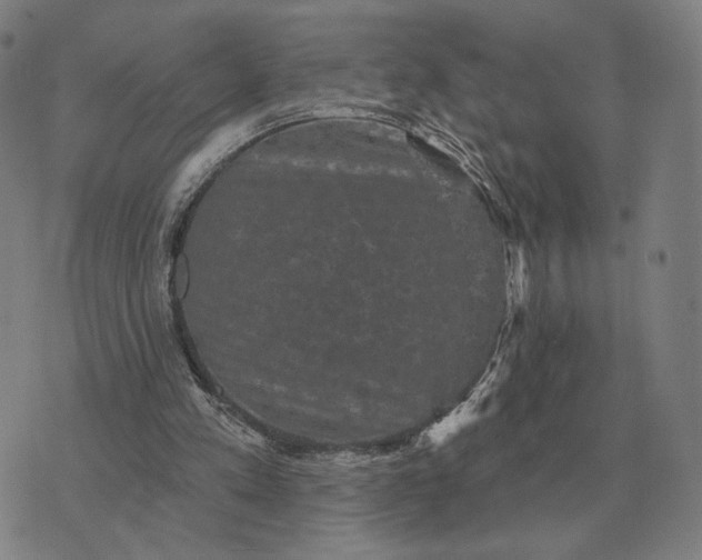 X0000070400197200606231811