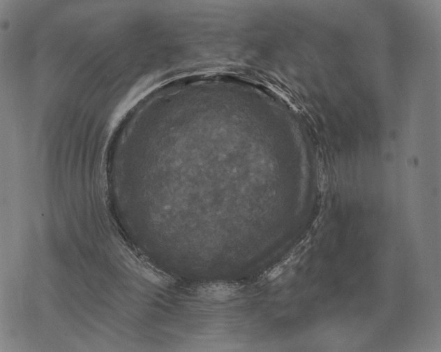 X0000070400198200606231811