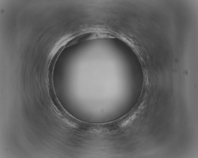 X0000070400199200606231811